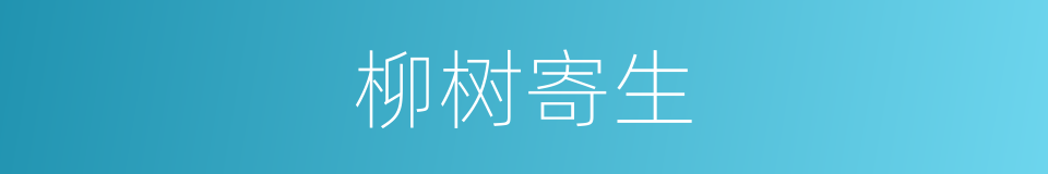 柳树寄生的同义词