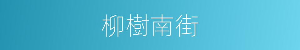 柳樹南街的同義詞