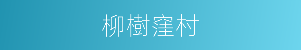 柳樹窪村的同義詞