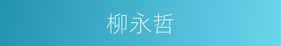 柳永哲的同义词