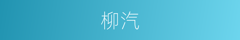 柳汽的同义词