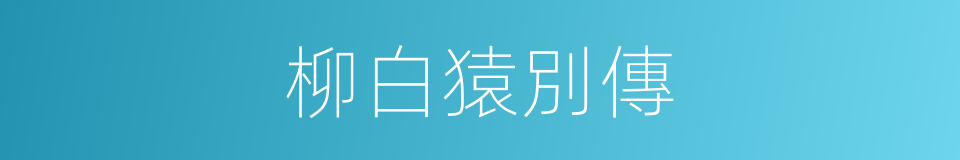 柳白猿別傳的同義詞