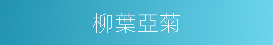 柳葉亞菊的同義詞