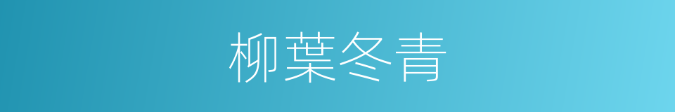柳葉冬青的同義詞