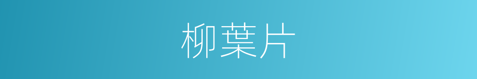 柳葉片的同義詞