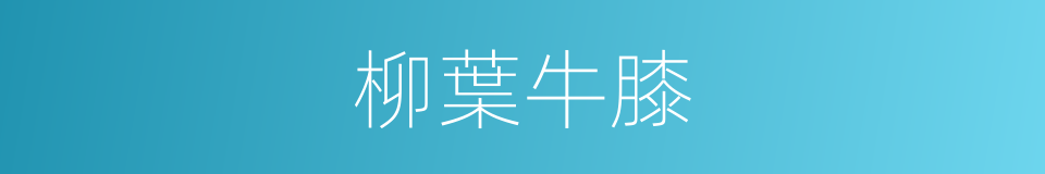 柳葉牛膝的同義詞
