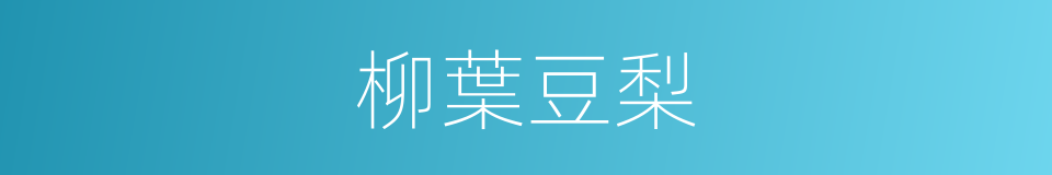 柳葉豆梨的同義詞
