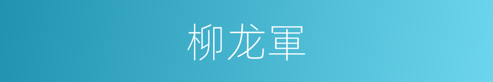 柳龙軍的同義詞