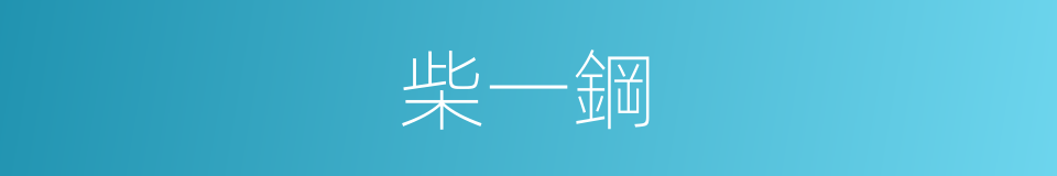 柴一鋼的同義詞