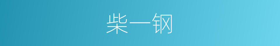 柴一钢的同义词