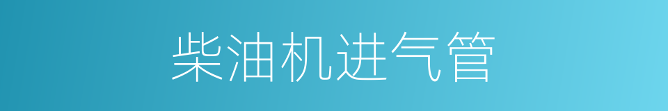 柴油机进气管的同义词