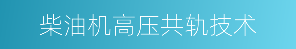 柴油机高压共轨技术的同义词