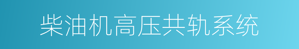 柴油机高压共轨系统的同义词