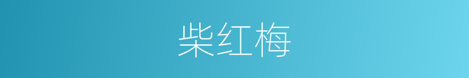 柴红梅的同义词