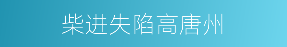 柴进失陷高唐州的同义词