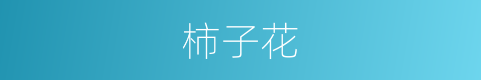 柿子花的同义词