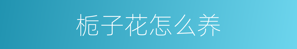 栀子花怎么养的同义词