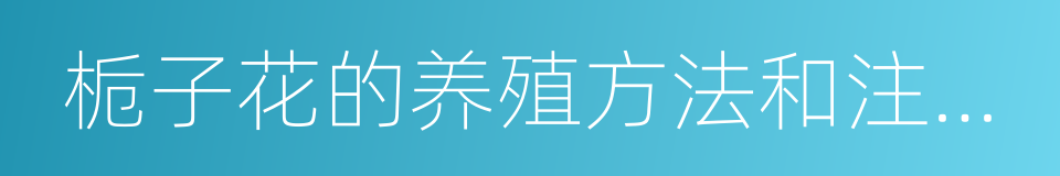 栀子花的养殖方法和注意事项的同义词