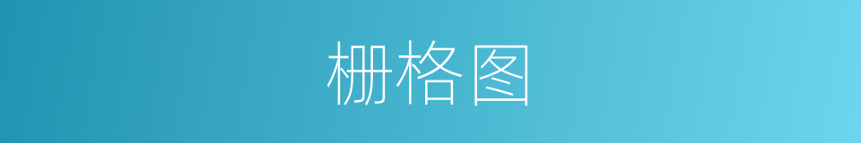 栅格图的同义词