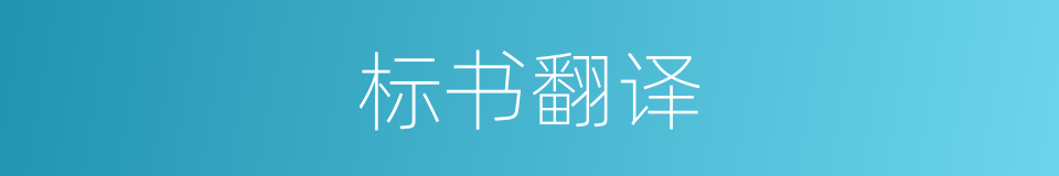 标书翻译的同义词