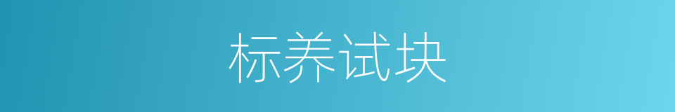 标养试块的同义词