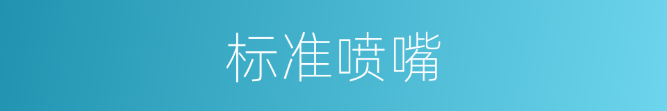 标准喷嘴的同义词