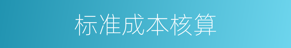 标准成本核算的同义词