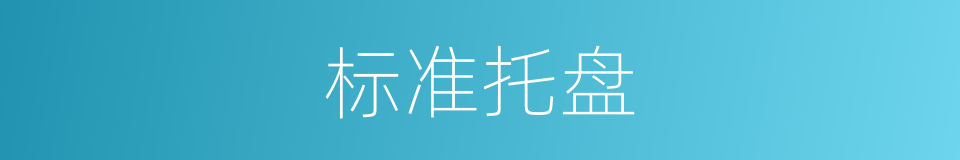 标准托盘的同义词