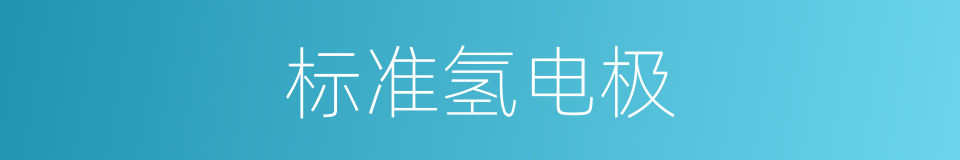 标准氢电极的同义词