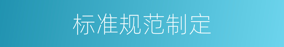 标准规范制定的同义词