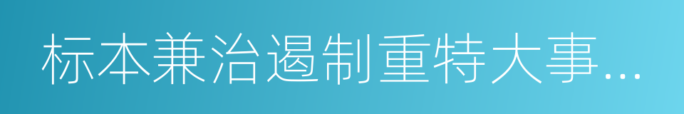 标本兼治遏制重特大事故工作指南的同义词