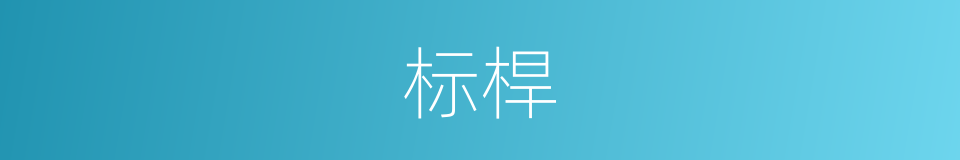 标桿的同义词