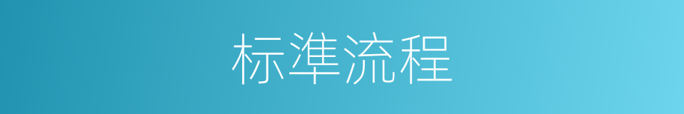 标準流程的同義詞