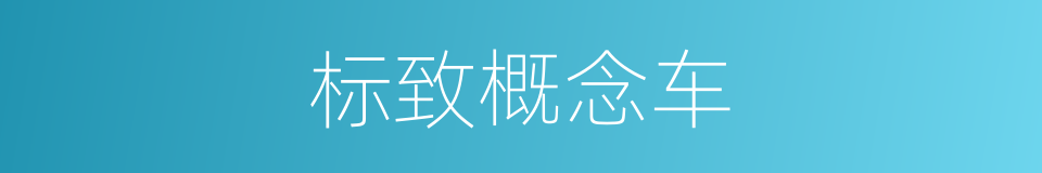 标致概念车的同义词