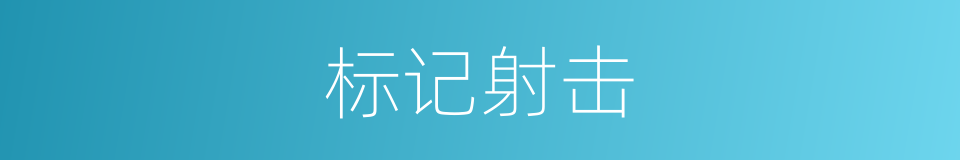 标记射击的同义词