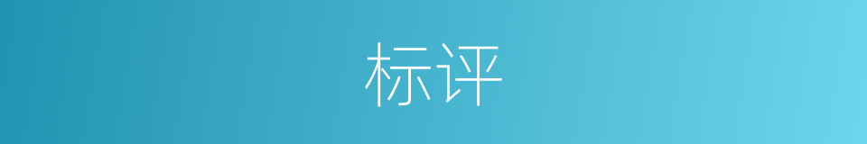 标评的同义词