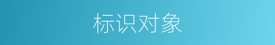 标识对象的同义词