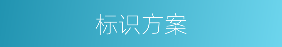 标识方案的同义词