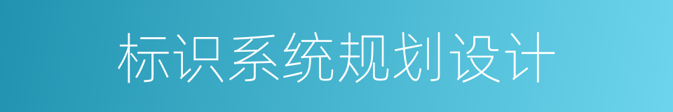 标识系统规划设计的同义词