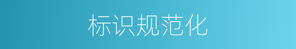 标识规范化的同义词