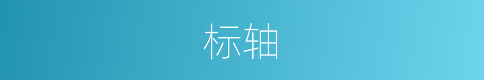 标轴的意思