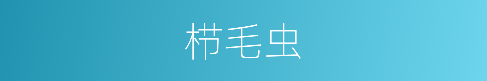 栉毛虫的意思