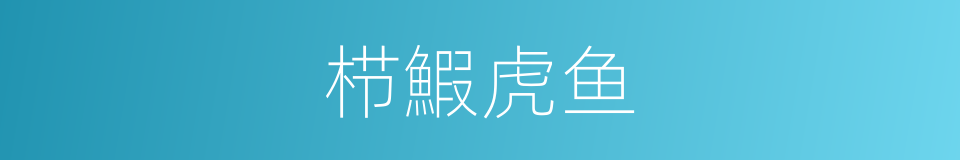 栉鰕虎鱼的同义词