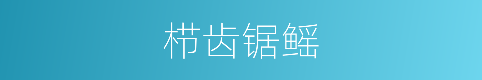 栉齿锯鳐的同义词