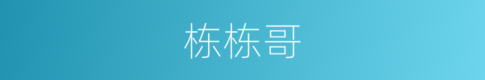 栋栋哥的同义词