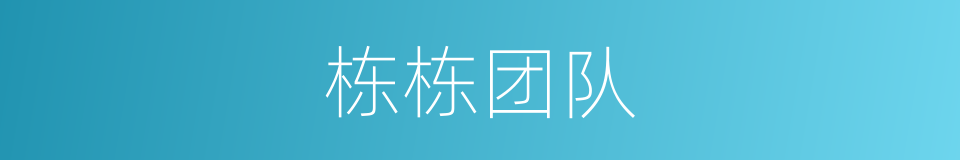 栋栋团队的同义词