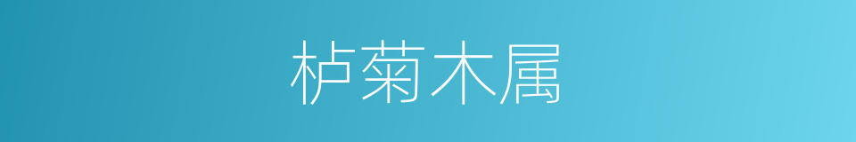 栌菊木属的同义词