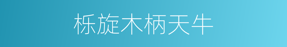 栎旋木柄天牛的同义词