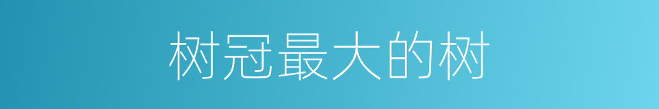 树冠最大的树的同义词