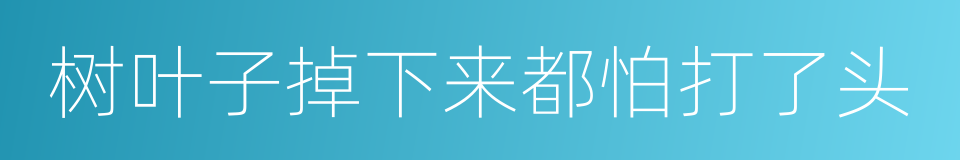 树叶子掉下来都怕打了头的意思